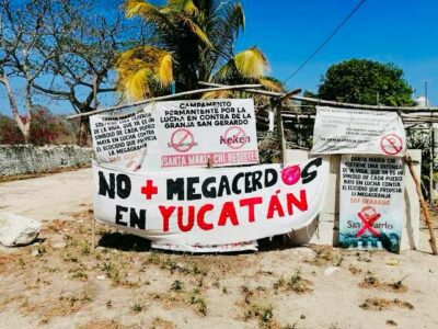 Profepa closes Santa María Chi pig farm in Mérida, Yucatán, for lack of permit