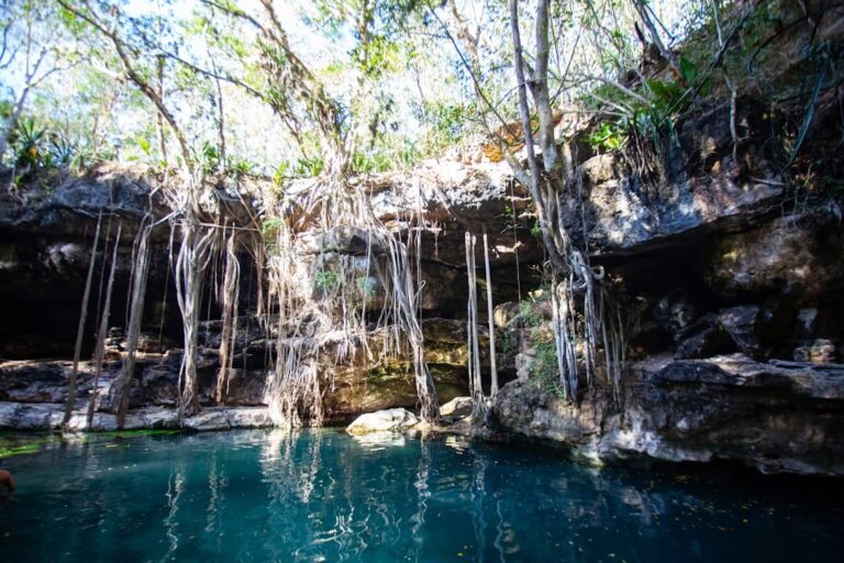 Tulum Ruins & Cenote Combo Tour (Sample Listing)