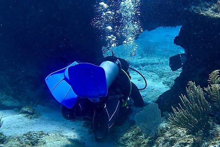 First Time Diving — Tulum Dive Machine