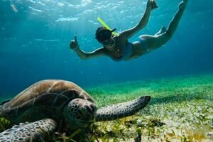 Private Tour: Turtles, Coral Reef, Cenote & Beach All Inclusive