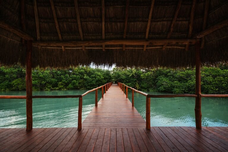 Adventure Parks in Playa del Carmen: Xcaret, Xplor, Xenses, and Xel-Há Explained