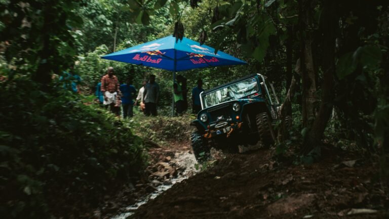 ATV & Jungle Adventures in Playa del Carmen: What to Know Before You Book