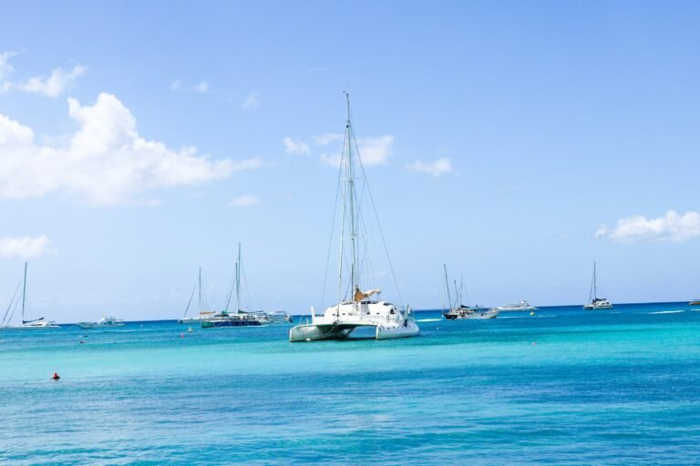 Catamaran & Boat Tours in Playa del Carmen: A Practical Guide