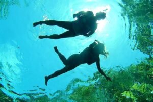 VIP Cenotes Private Tour (Half-Day)
