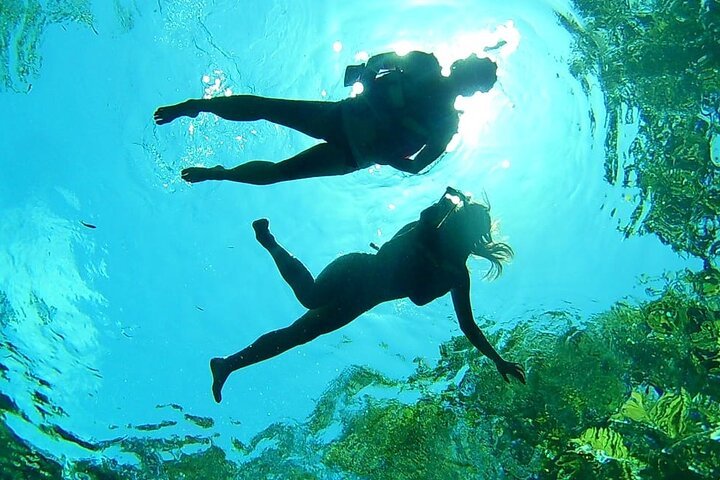 VIP Cenotes Private Tour (Half-Day)