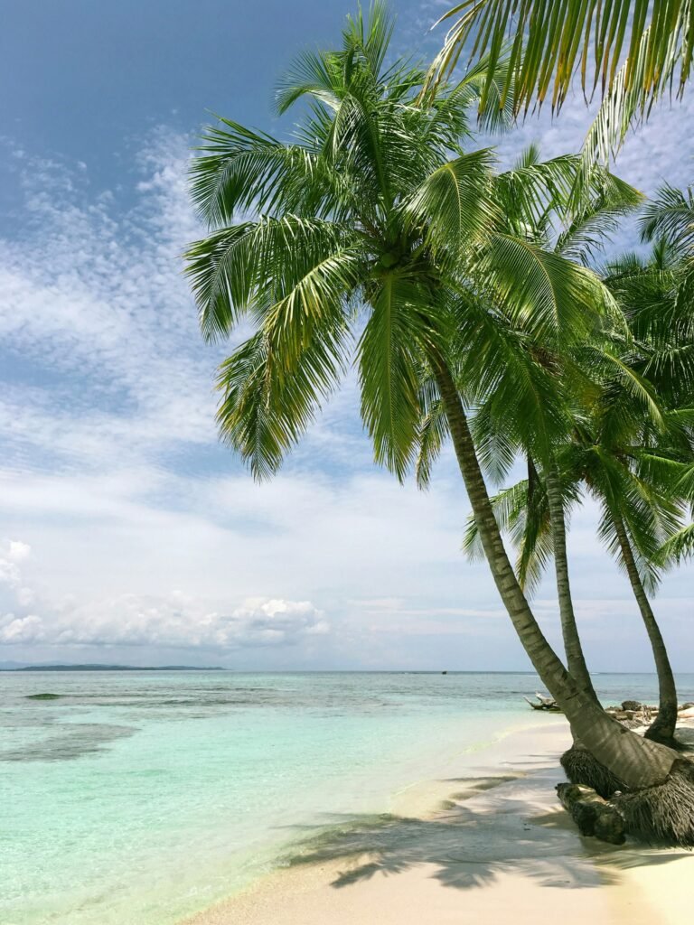 Playacar: A Practical Guide to Playa del Carmen’s Gated Hotel Zone