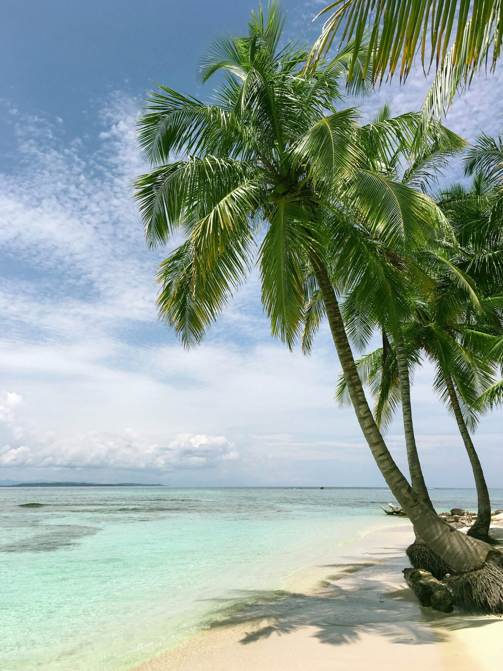 Playacar: A Practical Guide to Playa del Carmen’s Gated Hotel Zone
