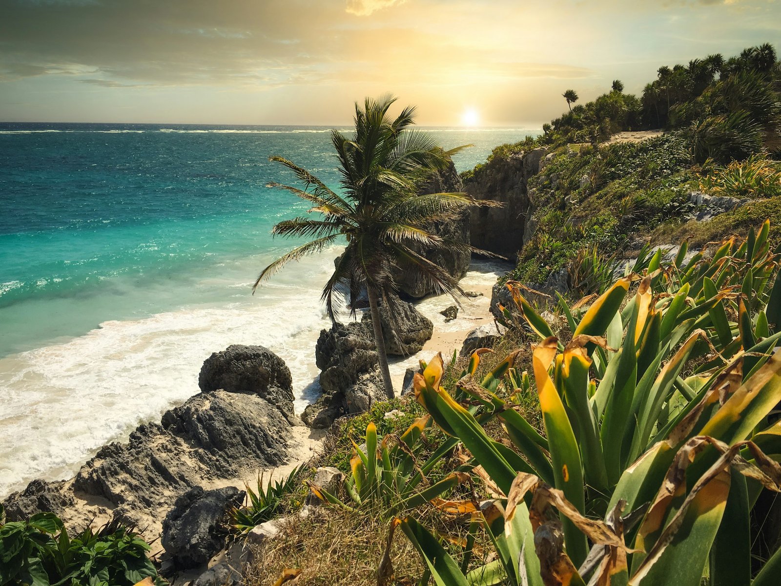 Riviera Maya Coast: A Practical Guide to This Hotel Area