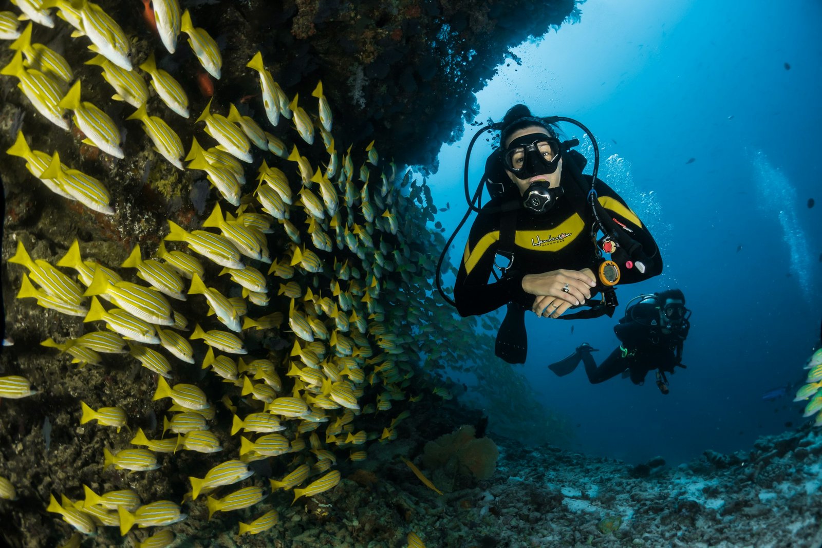 Scuba Diving in Playa del Carmen: A Practical First-Timer’s Guide