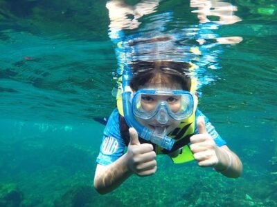 VIP Cenotes Private Tour - image 1