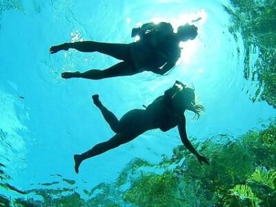 VIP Cenotes Private Tour (half-day) - image 1